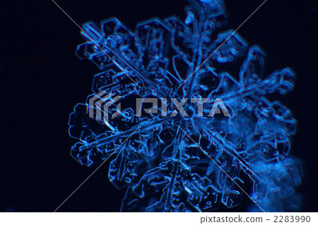 雪花 雪花 2283990