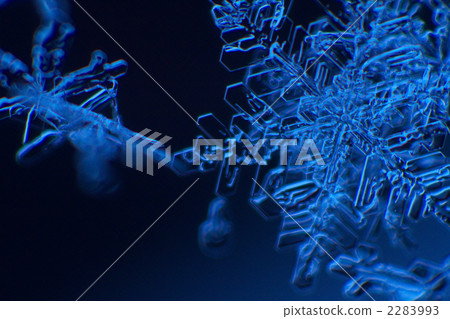 Crystal of snow Crystal of snow 2283993