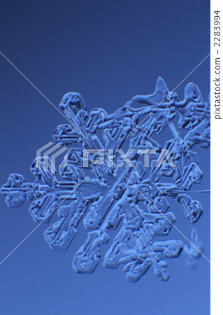Crystal of snow Crystal of snow 2283994