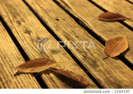 在長凳上的落葉 在長凳上的落葉 2284197