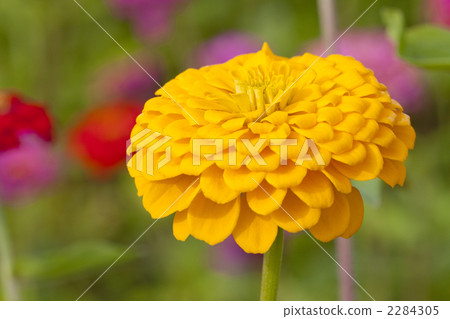 貝絲（上） 2284305