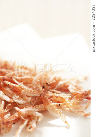 櫻桃蝦 2284355