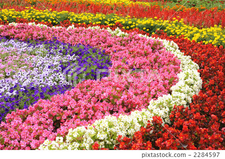 Flower bed with flowers 2284597