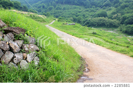 One road in the rice terrace 2285881