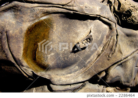 Nichinan coastal rocks Nichinan coastal rocks 2286464