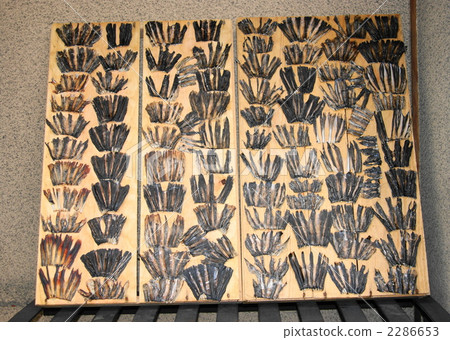 Fuguhire Fuguhire 2286653