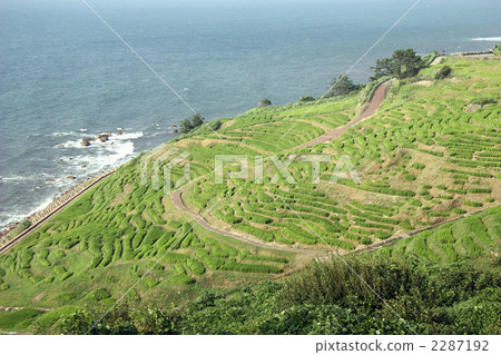 A thousand sheets 2287192