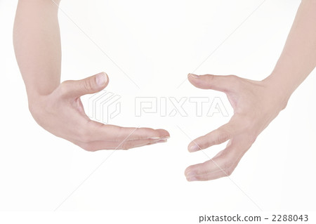 hand, body parts, man's hand 2288043