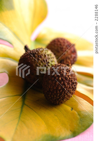 Fruit of litchi 2288146