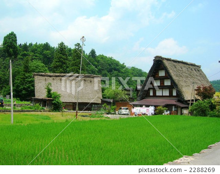 長滿茅草的椽架屋頂 白川鄉 建築 2288269