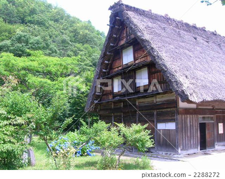 長滿茅草的椽架屋頂 白川鄉 建築 2288272