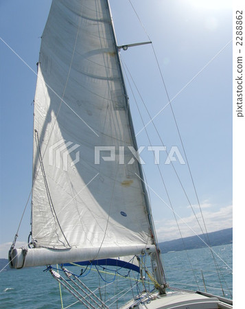 White sail receiving wind White sail receiving wind 2288862