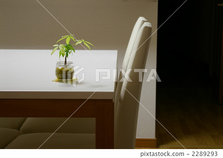 Chairs and tables and ornamental plants 2289293