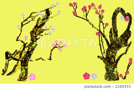 Red plum peach blossom white plum Red plum peach blossom white plum 2289355