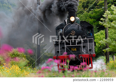 Musi Trinadesico和蒸汽機車 Musi Trinadesico和蒸汽機車 2289959