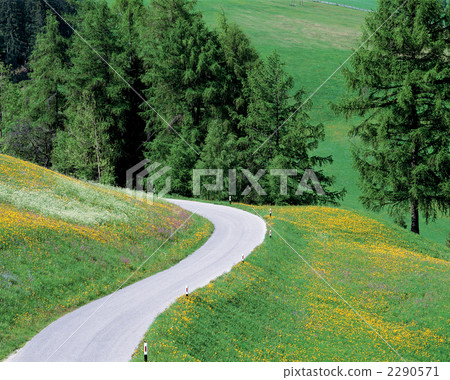 Spring in the Dolomites 2290571