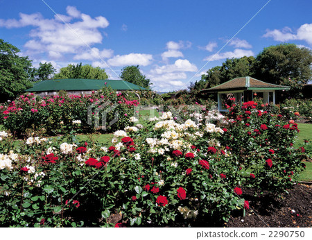 In Christchurch city 2290750