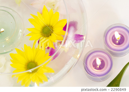 香氣圖像 2290849