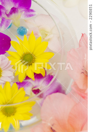 香氣圖像 2290851