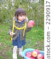 A girl hunting an apple 2290917