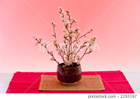 floral arrangement, japanese flower arrangement, tokai zakurcherry 2293197