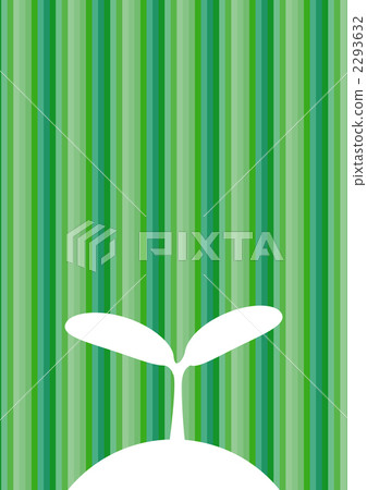 sprout, bud, sprouts 2293632