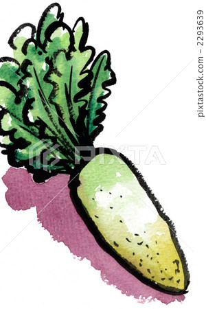 蘿蔔daikon125pix 蘿蔔daikon125pix 2293639