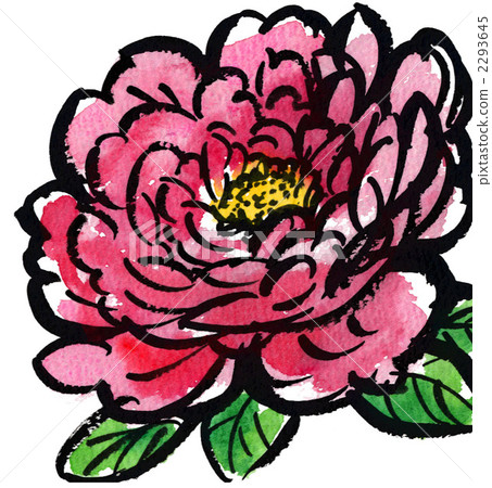 Winter peony fuyubotan125pix 2293645