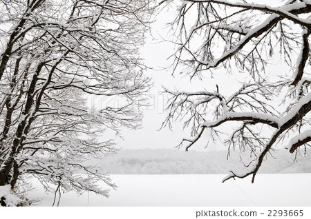 雪景 2293665