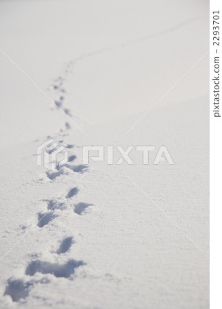 Footprint of snowy surface Footprint of snowy surface 2293701
