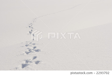 Footprint of snowy surface Footprint of snowy surface 2293702
