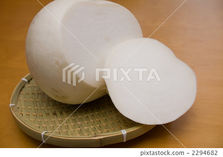 櫻島蘿蔔 2294682