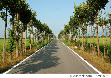 新潟市新潟縣秋葉原區門澤寺哈扎Namiki 2294806