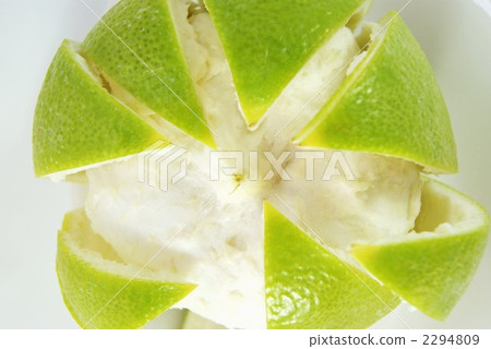 果皮 糙葉東方榆木 削皮 2294809