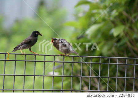 Ryuko's parent and child 2294935