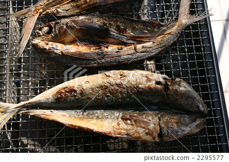 Kusaya Kusaya 2295577