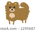 Pomeranian 2295687