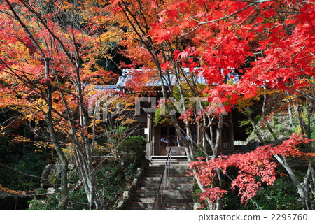 Flower Temple / Autumn 2295760