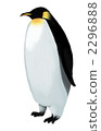 帝企鵝 2296888