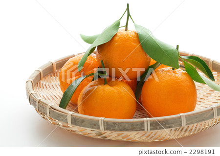 Mature western Poncan served in monkeys 2298191