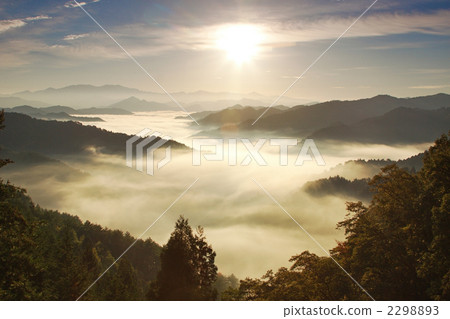 Kii山脈的雲海 2298893