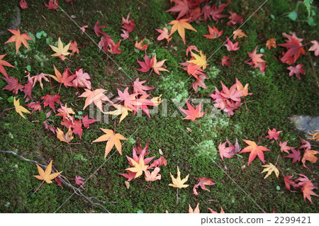 寺院和神廟 寧靜的 平靜 2299421