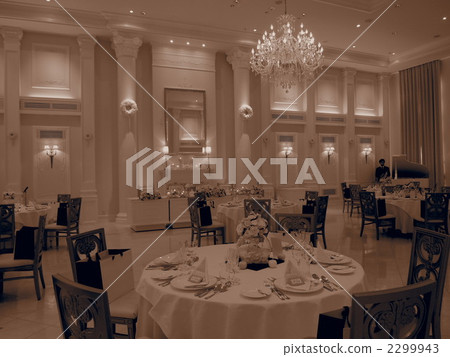 表格調整 裝飾花 烏賊 2299943