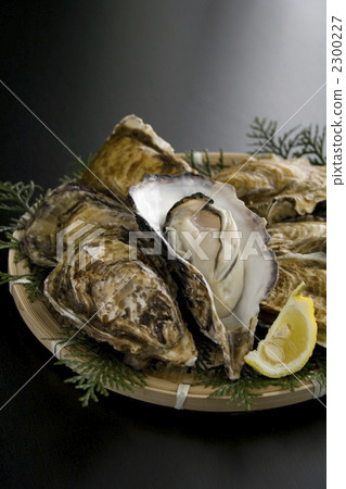 oyster, raw oyster, persimmon 2300227