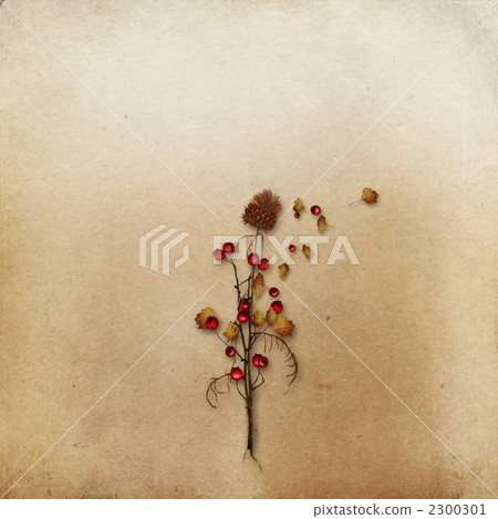 用花裝飾的背景 用花裝飾的背景 2300301