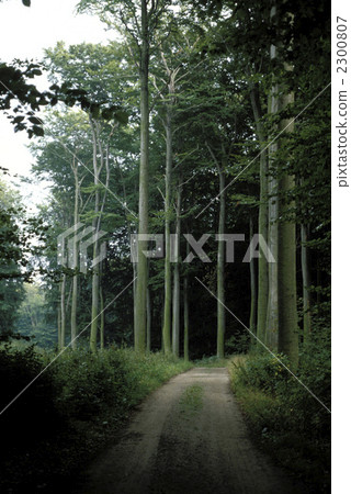 83521 Norway 2300807