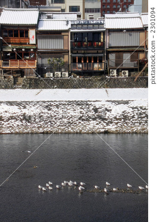 kamo river, Winter landscape, winter scenery 2301094