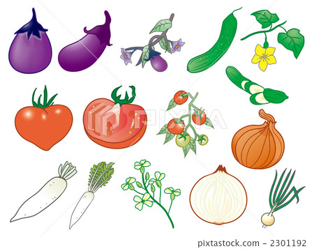 蔬菜花 茄子 番茄 黃瓜 蘿蔔 洋蔥 插圖素材 圖庫