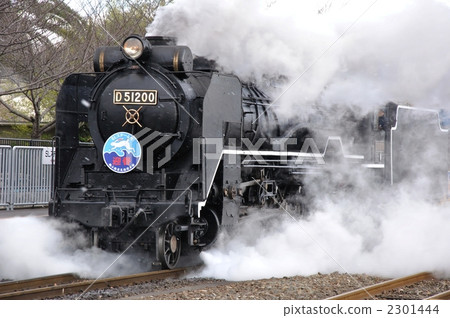 D51 in the steam 2301444