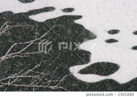 在湖的雪樣式 在湖的雪樣式 2301888